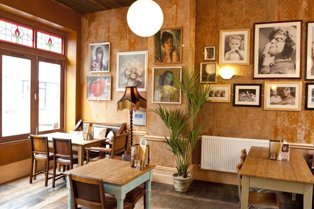 A cozy café with wooden tables and chairs, vintage wallpaper, and a touch of Circo charm. Potted plants and framed portraits adorn the walls, while large windows fill the space with natural light for a warm, inviting atmosphere.